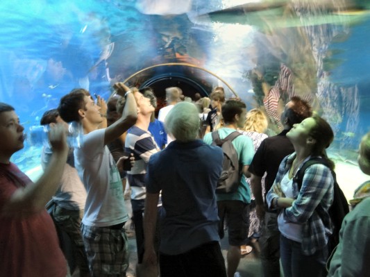 Der Haifischtunnel. (06.09.2012)