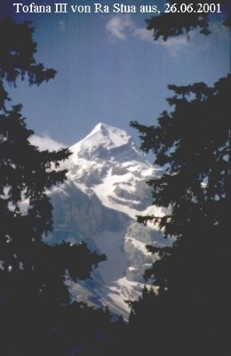 dol013.jpg