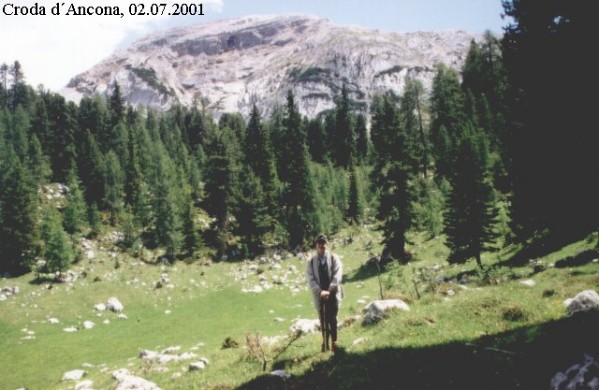 dol015.jpg