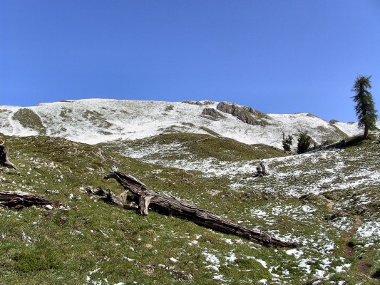 Schneereste am Zwischenkofel (19.07.2009)