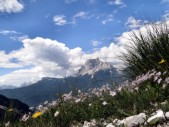 Pelmo (05.07.2010)