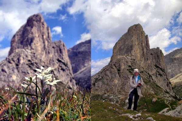 ... auf der Vorkuppe des Hexensteins (08.07.2011)