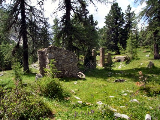 Stellungsreste auf der Lerosa-Alm (11.07.2011)