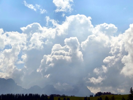 ... soweit das Auge reicht (18.07.2013)
