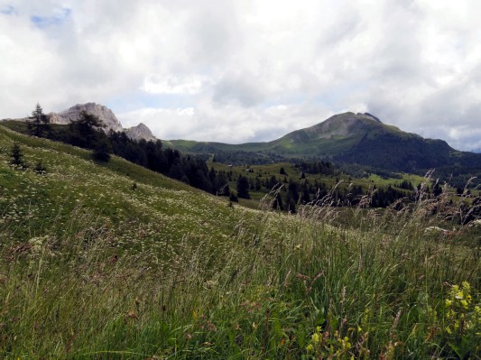 Am Inzisa-Joch mit Blick auf Set Sass und Monte Sief (30.07.2014)