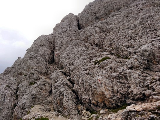 ... und durch eine Kletterwand ... (15.08.2014)