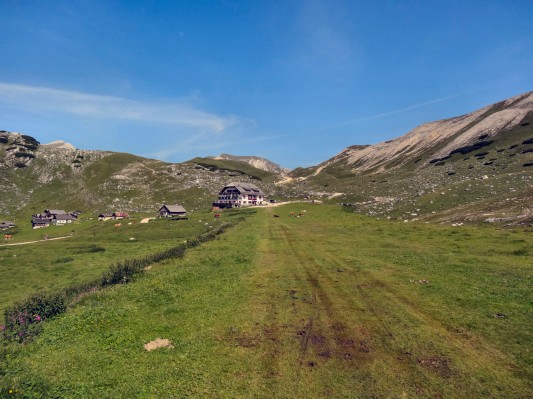 ... hinauf zur Sennes-Hütte ... (06.08.2014)