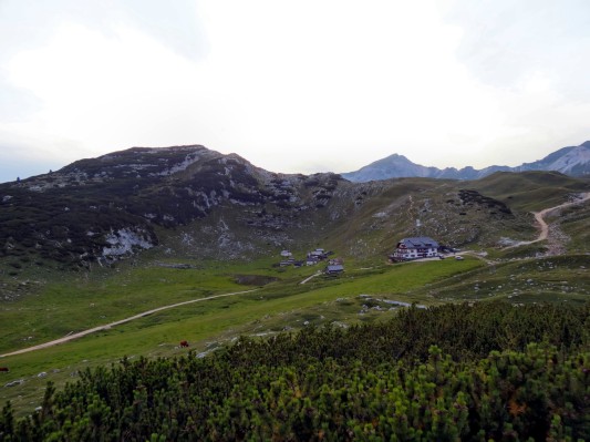... bei der Sennes-Hütte (06.08.2014)