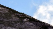 Steinbock-Kolonie am Monte Alto (19.07.2016)