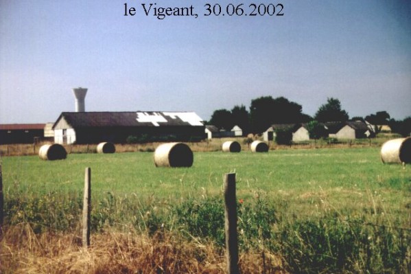 vigeant.jpg