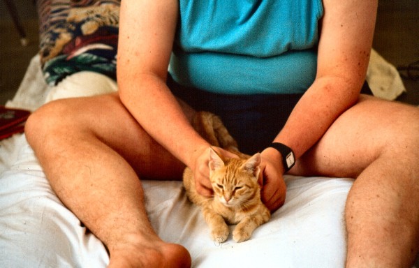 Jungkatzen (19.08.1995)