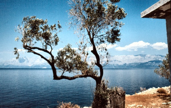 Auf der Insel Hvar (30.06.1982)