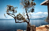 Auf der Insel Hvar (30.06.1982)