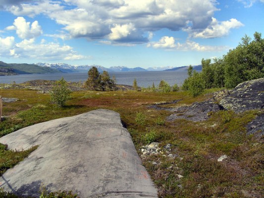 Prähistorische Felsritzungen in Hjemmeluft bei Alta mit Blick in den Altafjord. (30.06.2008) 