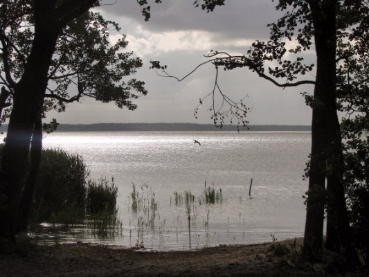 Blick von der Kurischen Nehrung [3/4] nach Osten auf das ruhige Kurische Haff ... (24.06.2008) 