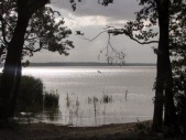 Blick von der Kurischen Nehrung [3/4] nach Osten auf das ruhige Kurische Haff ... (24.06.2008) 