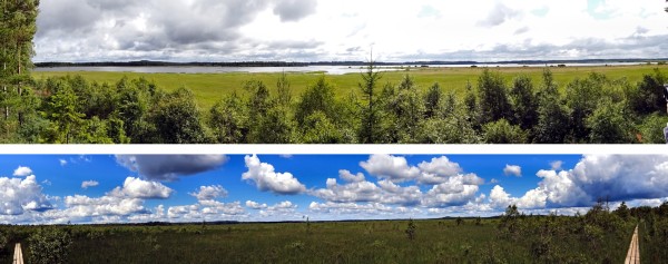 Im Nationalpark Store Mosse unterwegs ... (04.07.2017)