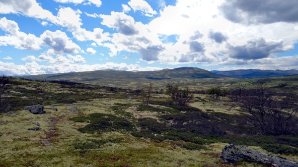 Blick vom Pilgerweg bei Kongsvoll nach Osten ... (16.07.2017)