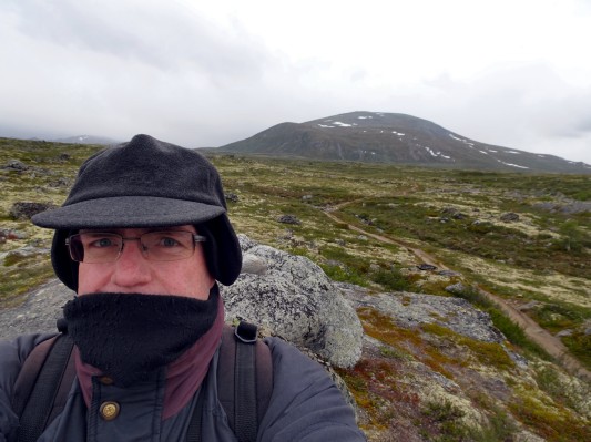 Auf dem Dovrefjell. (17.07.2017)