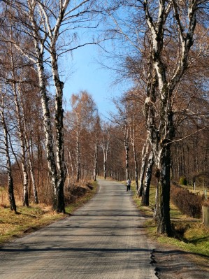 Steinbergallee (04.04.2012)