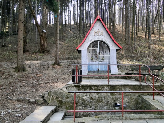 Augenbrünnel unterhalb des Schwinz (04.04.2012)