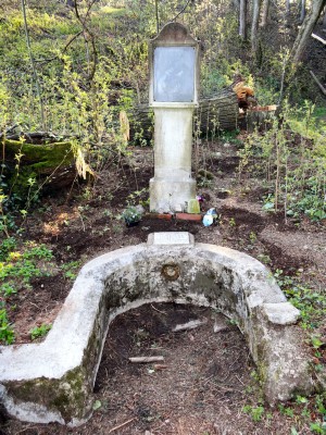 Das Marienbild bei Mährisch-Rothwasser heute ... (17.04.2014)