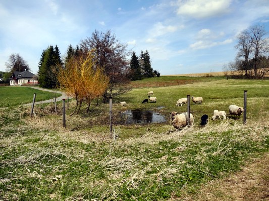 In Riedersdorf besaßen meine Pattermann-Urgroßeltern eine Gastwirtschaft ... (18.04.2014)