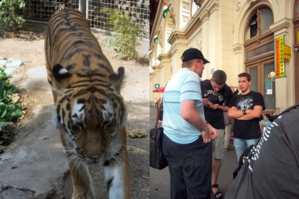 Budapester Zoo und Abfahrt vom Keleti Pu (12.09.2009)