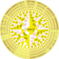 © Thomas Wilhelm Schwarzer, Friedberg in Hessen